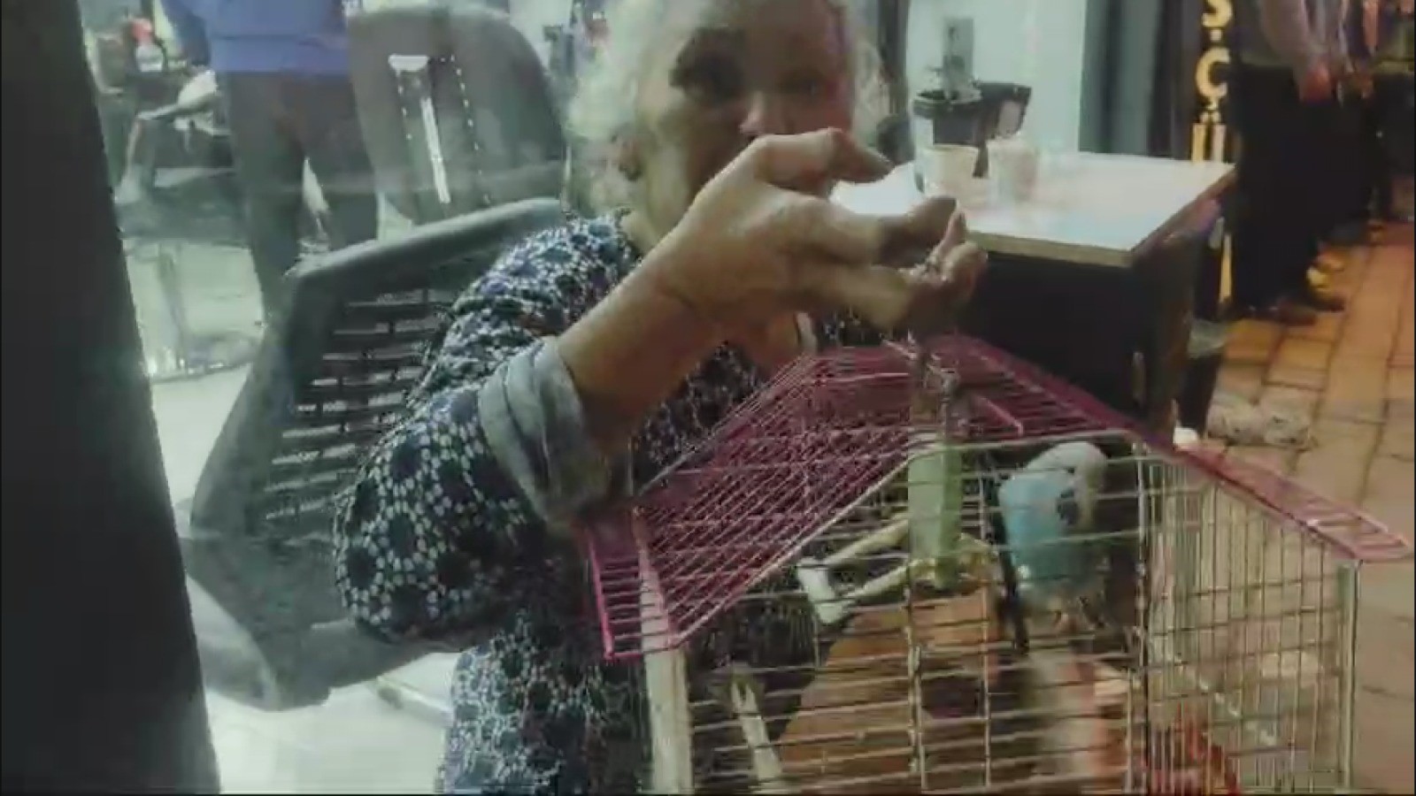 Evi Yanan Yaşlı Kadın, Can Yoldaşını Ölüme Terk Etmedi!