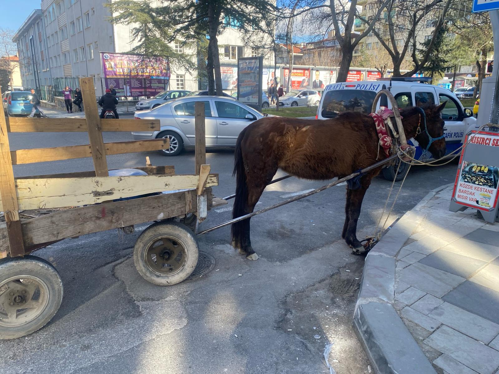 YEŞİLYOL'DA AT ARABASI KRİZİ