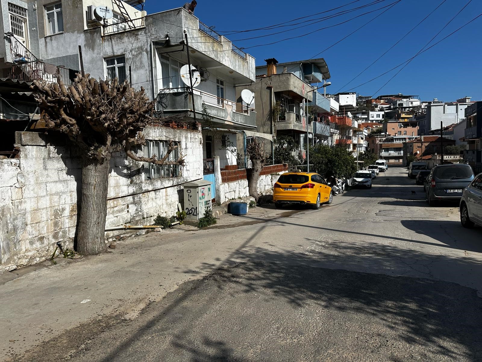 Yaşlı Kadın Evinde Ölü Bulundu