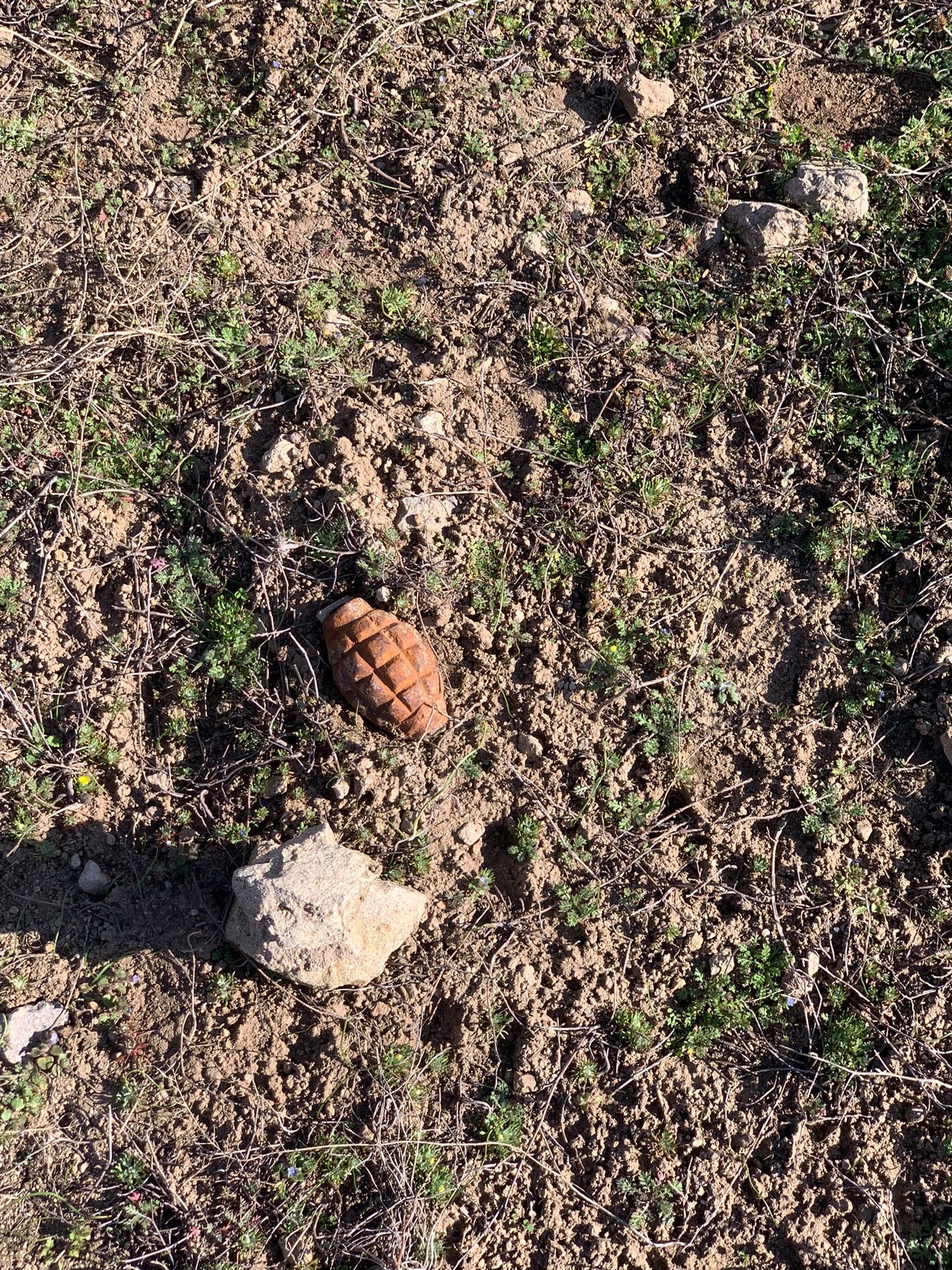 AFYON'DA TARLADA EL BOMBASI BULUNDU!
