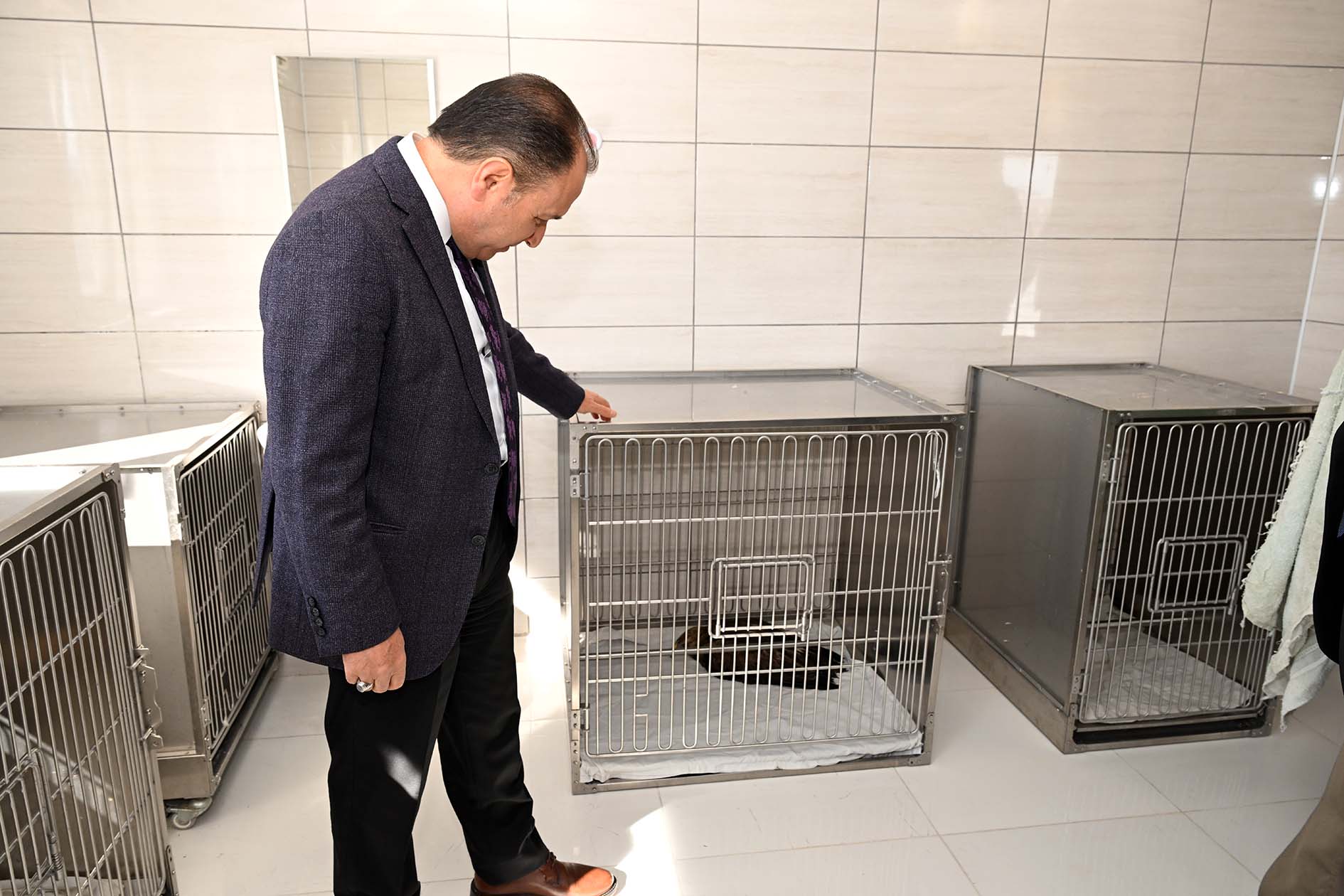 Tedavisi  Tamamlanan Kuşlar Rektör Karataş'ın Katılımıyla Doğaya Bırakıldı
