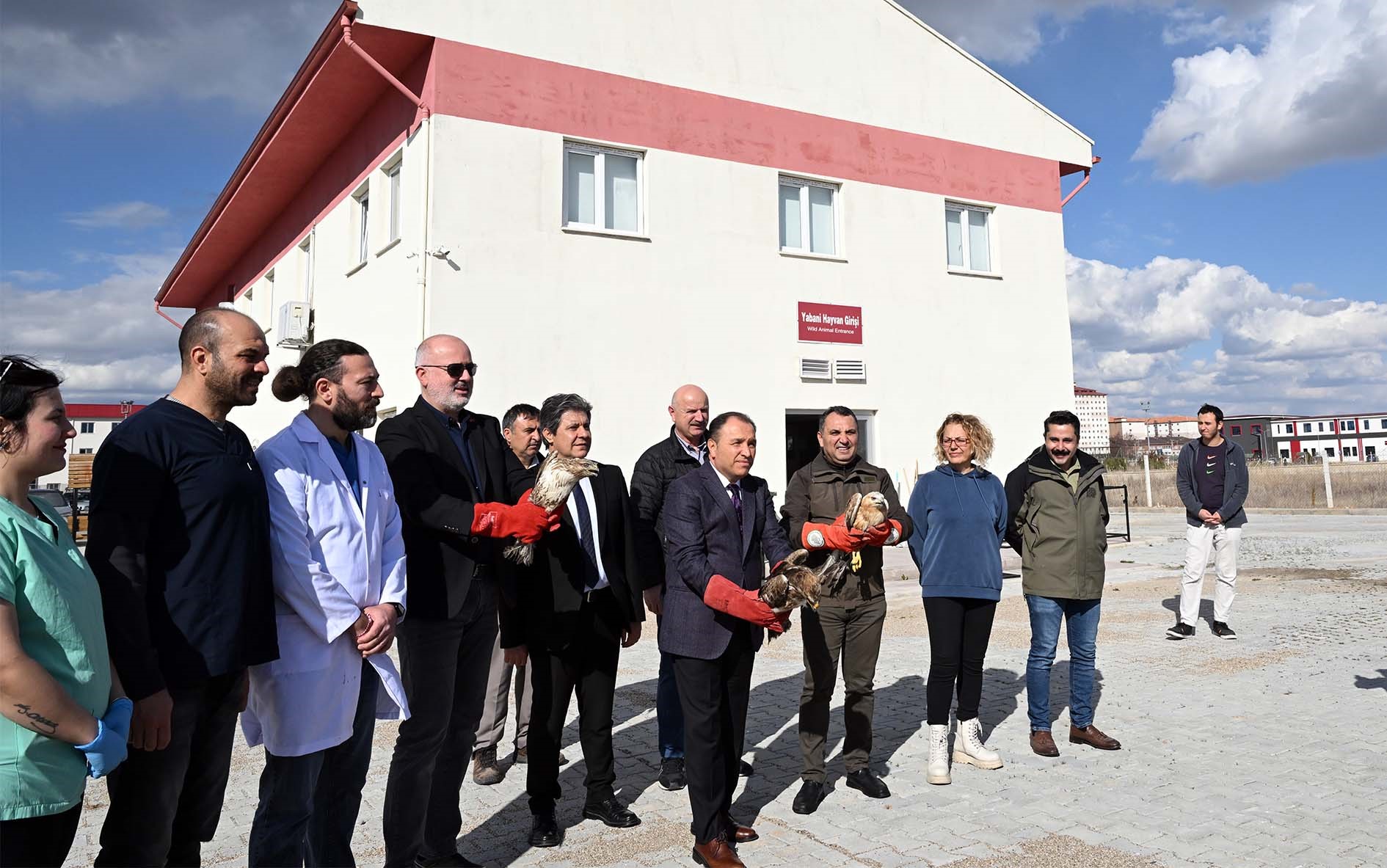Tedavisi Tamamlanan Yırtıcı Kuşlar Doğaya Salındı
