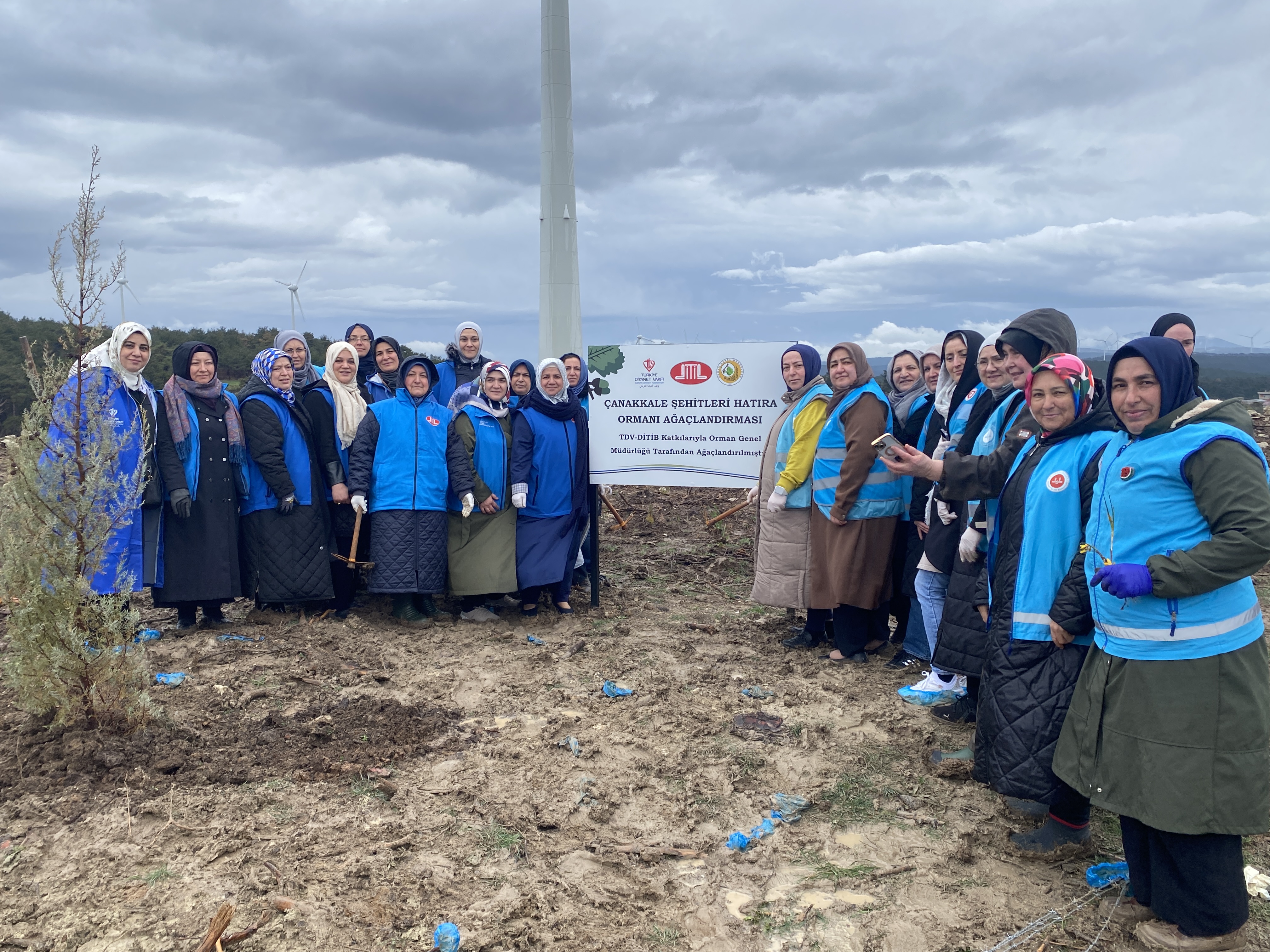 TDV’DEN 30 BİN FİDAN DİKİMİ
