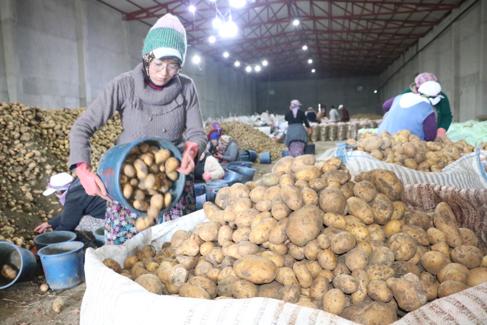 Patates İşçisi Kadınlar 8 Mart'ı İşlerinin Başında Geçirdi
