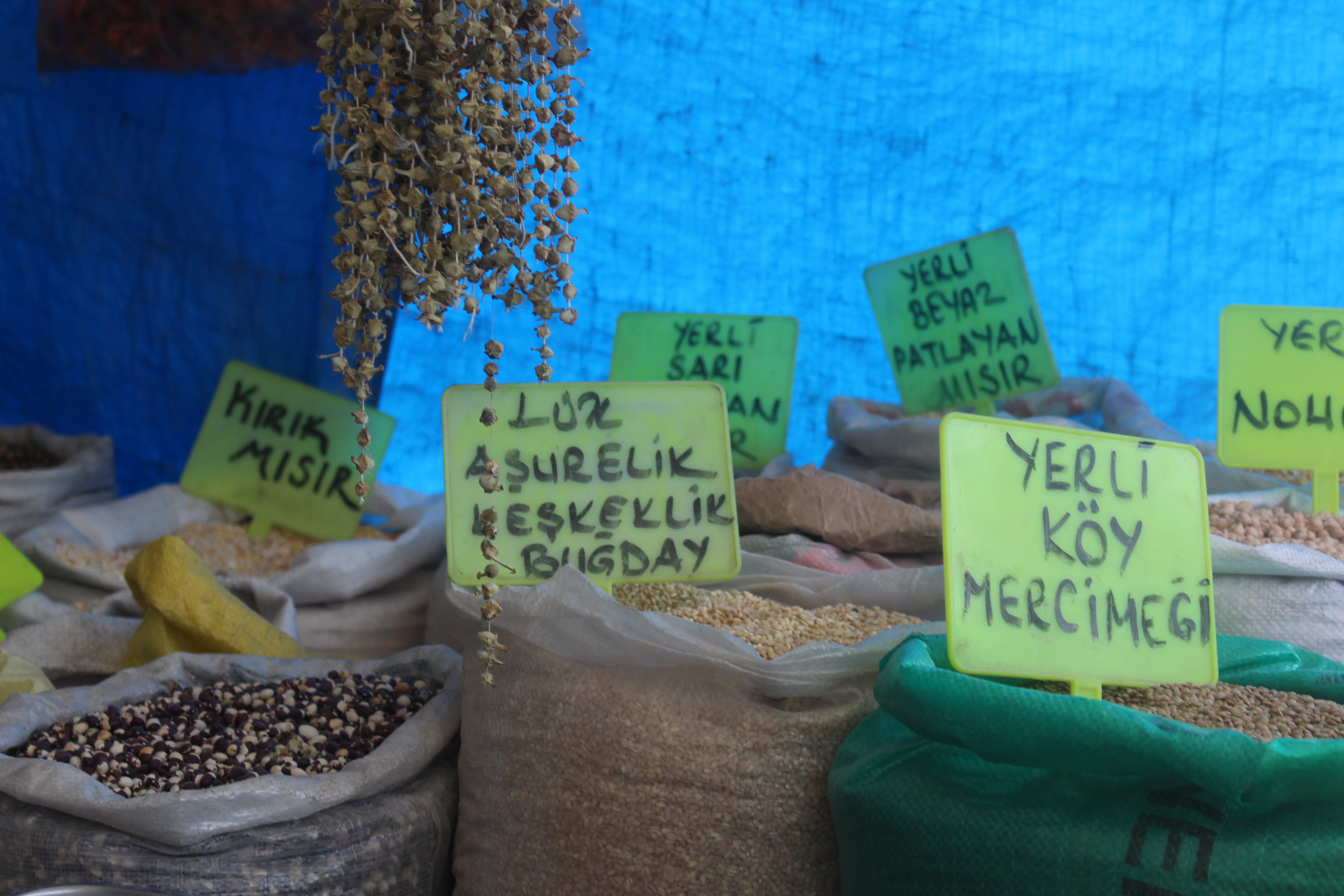 Rahat Oruç Tutmanın Yolları! Ramazan da Susuz Kalmamak İçin Bu Bitkileri Tüketin…