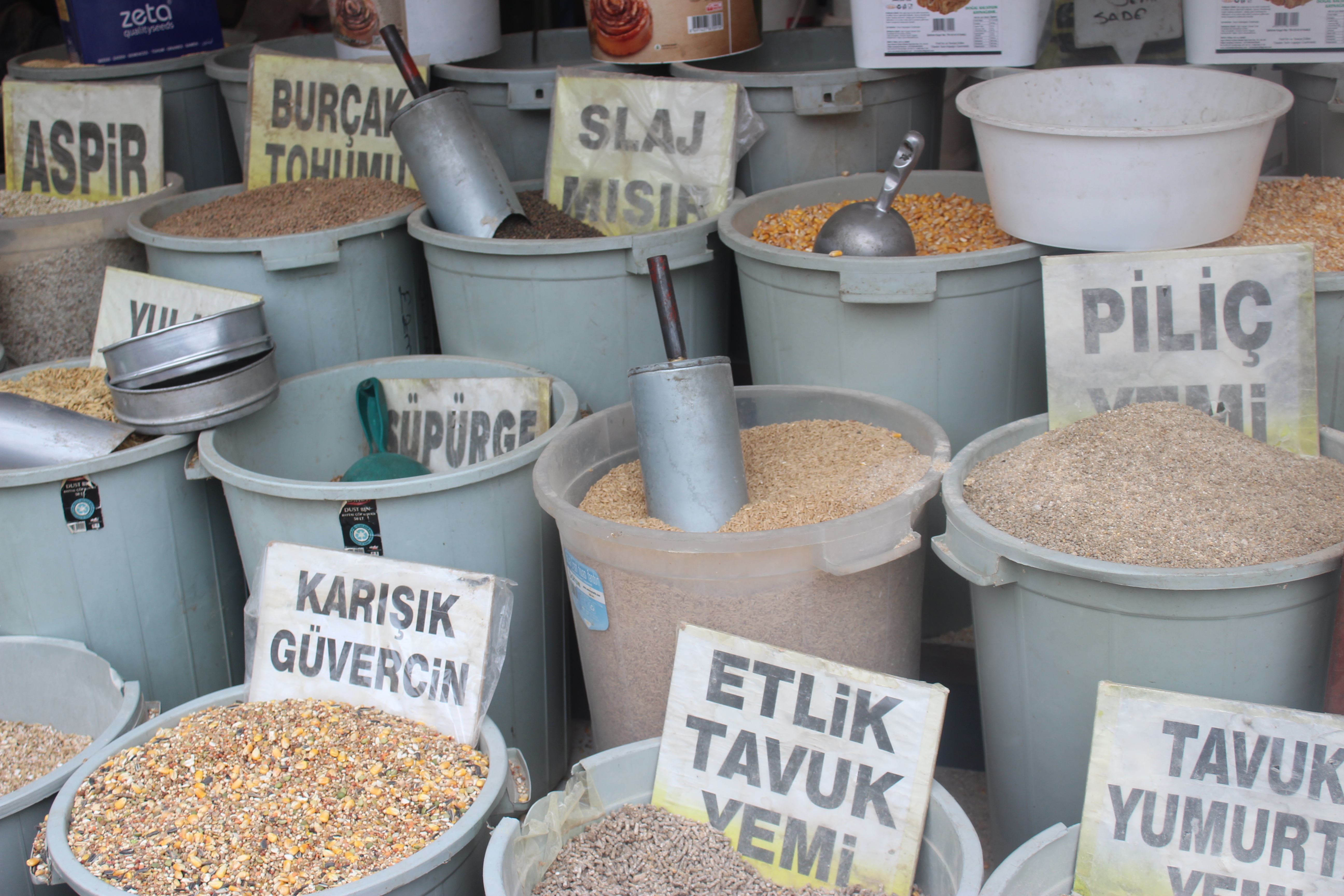 Rahat Oruç Tutmanın Yolları! Ramazan da Susuz Kalmamak İçin Bu Bitkileri Tüketin…