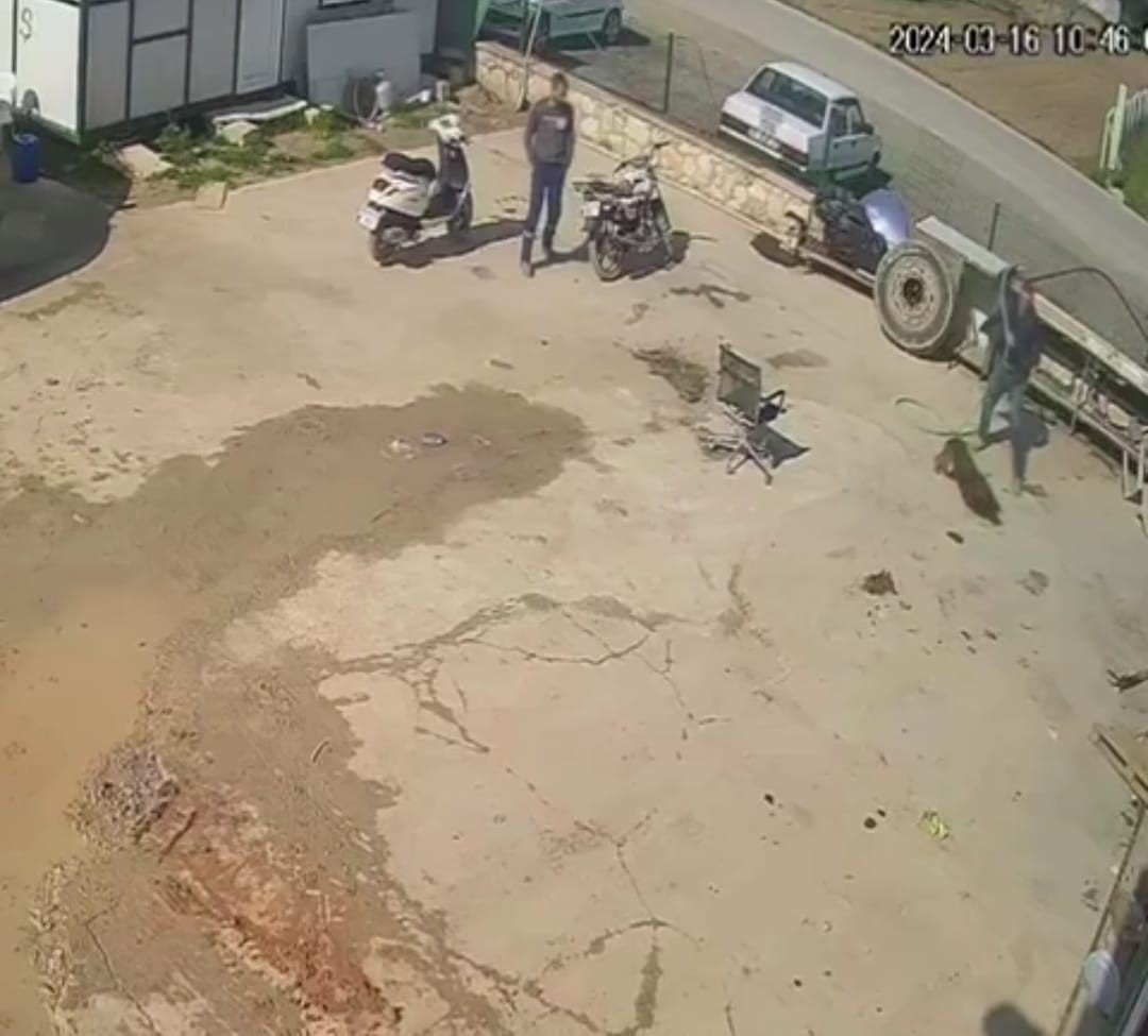 HAYVANSEVERLERİ AYAĞA KALDIRACAK OLAY