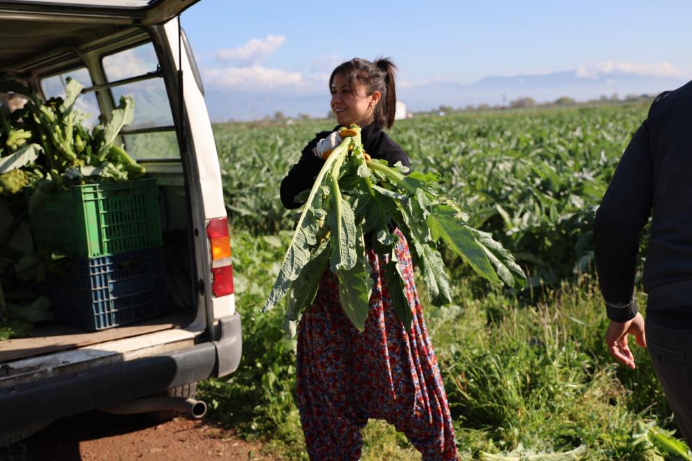 Yeşil elmas 'tarlada 20, tabakta 400 lira