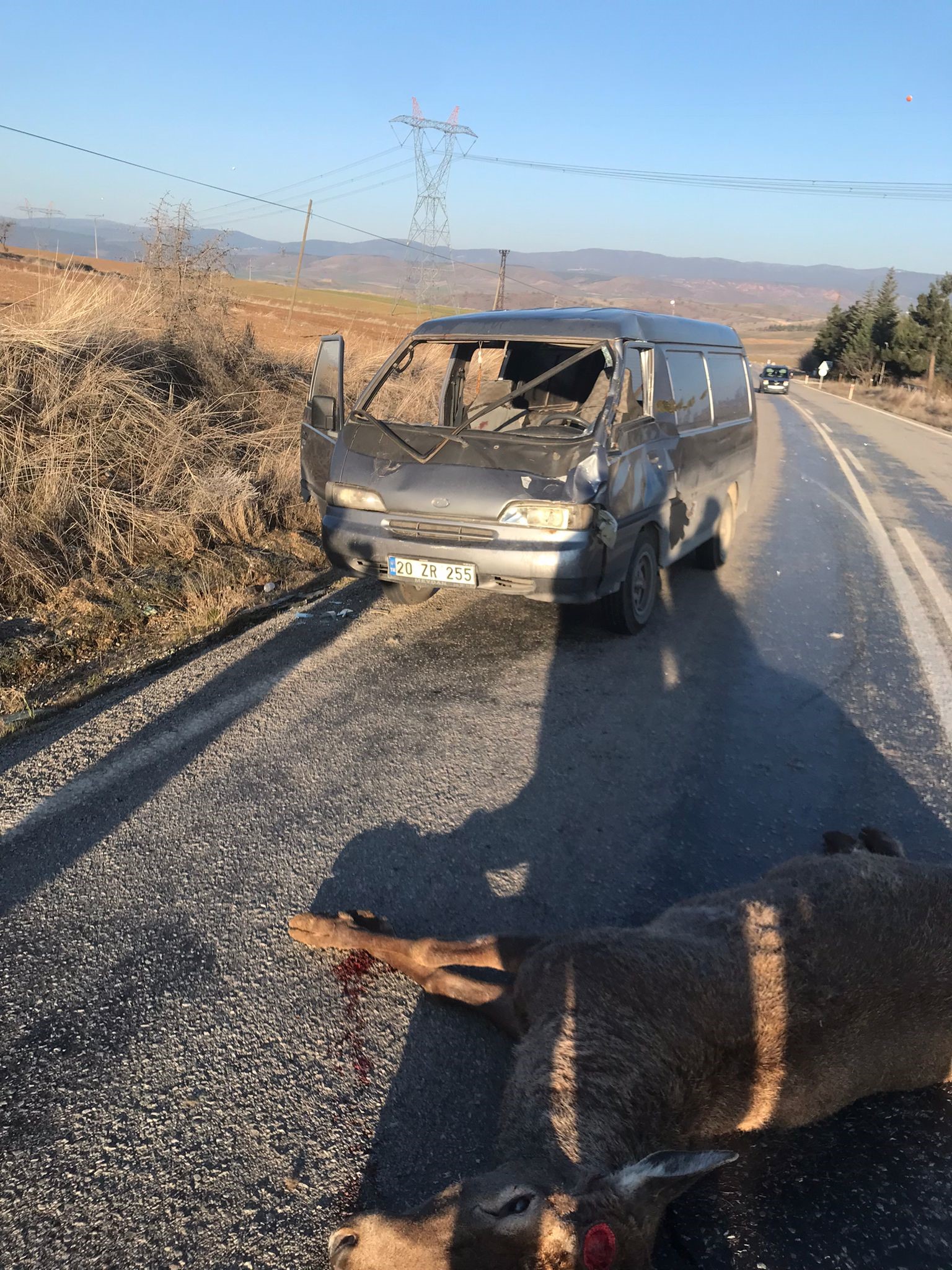 Aniden Yola Çıkan Geyiğe Çarptı