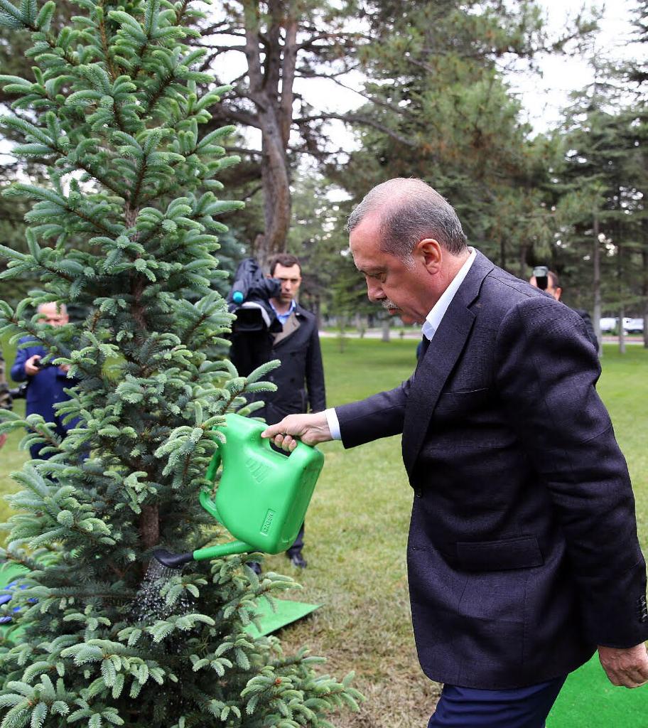Dünya Ormancılık Gününde Lideri Erdoğan'a Teşekkür Etti
