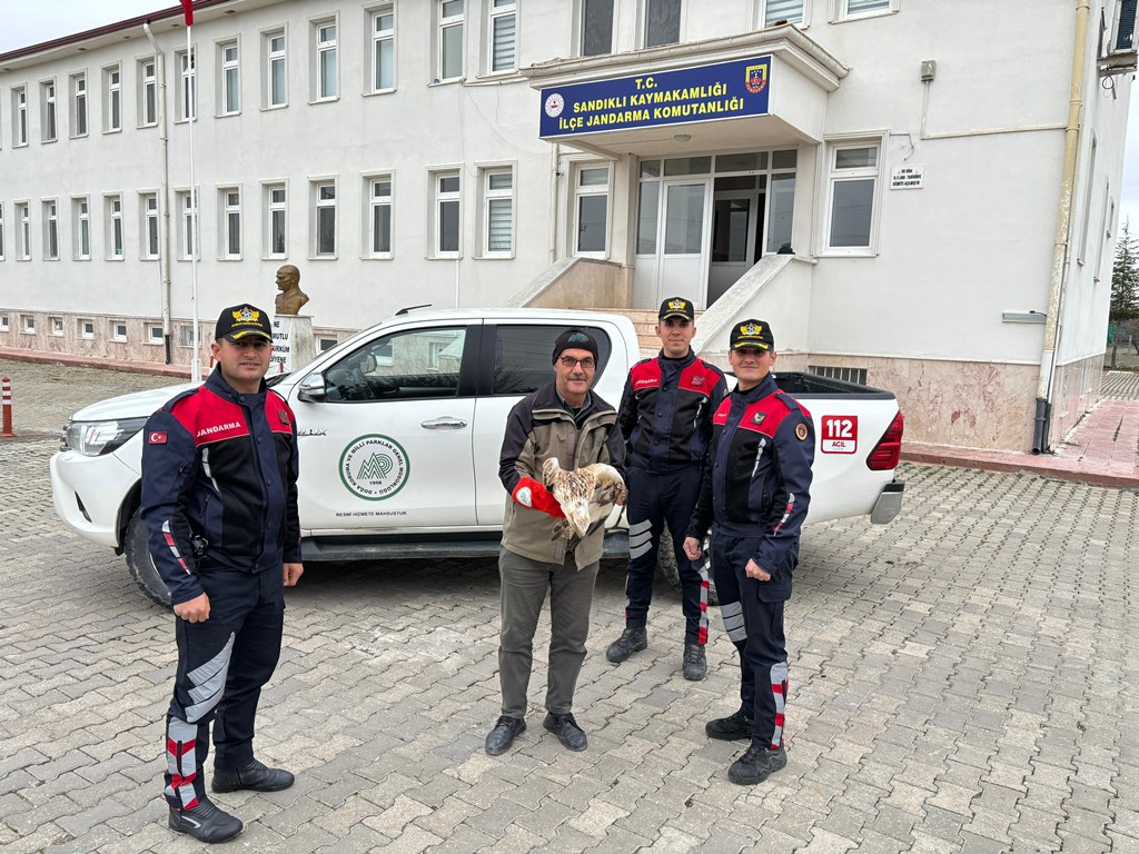 SANDIKLI'DA YARALI HALDE KIZIL ŞAHİN BULUNDU