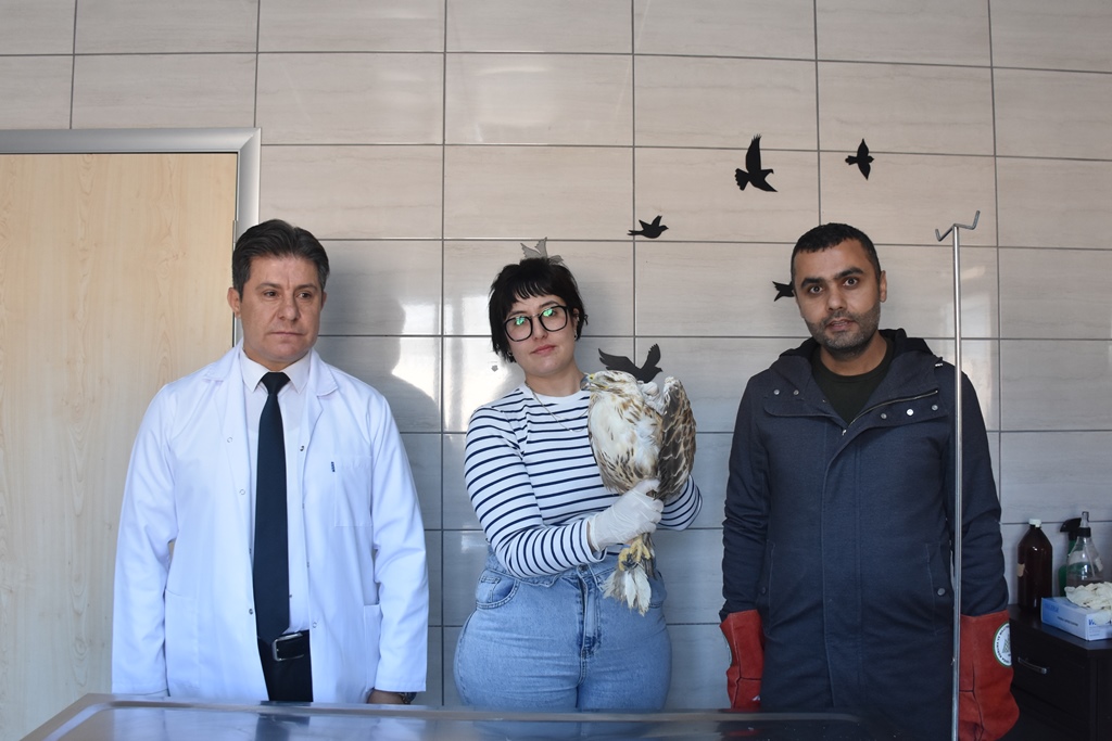 AFYON MERKEZDE 7 YILDA 2 BİN 500 YABAN HAYVANI TEDAVİ EDİLDİ