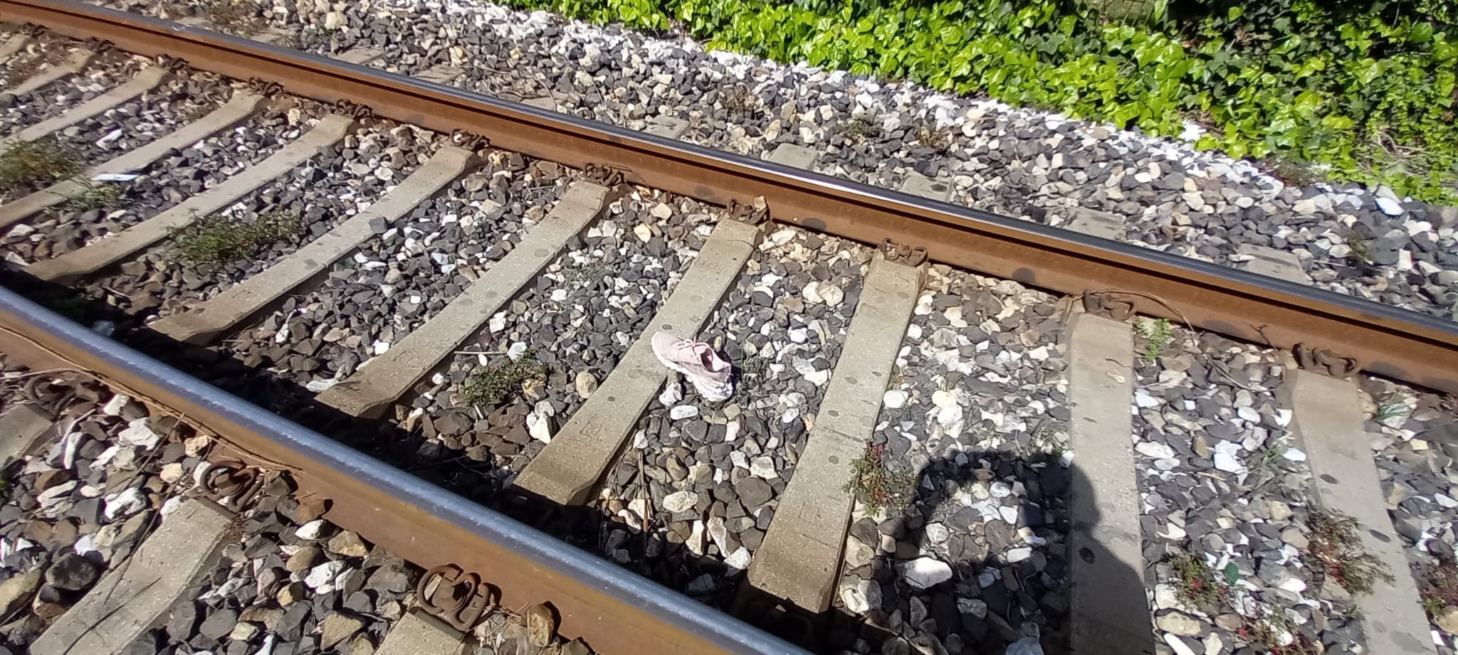 Tren Faciası!