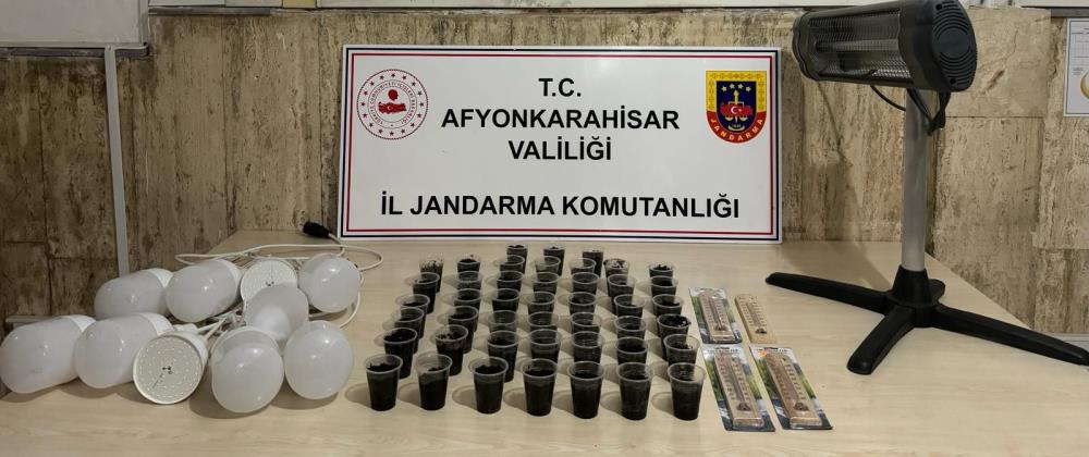 Yetiştirmeye Çalıştığı Kenevirin Hasadını Yapamadan Yakalandı