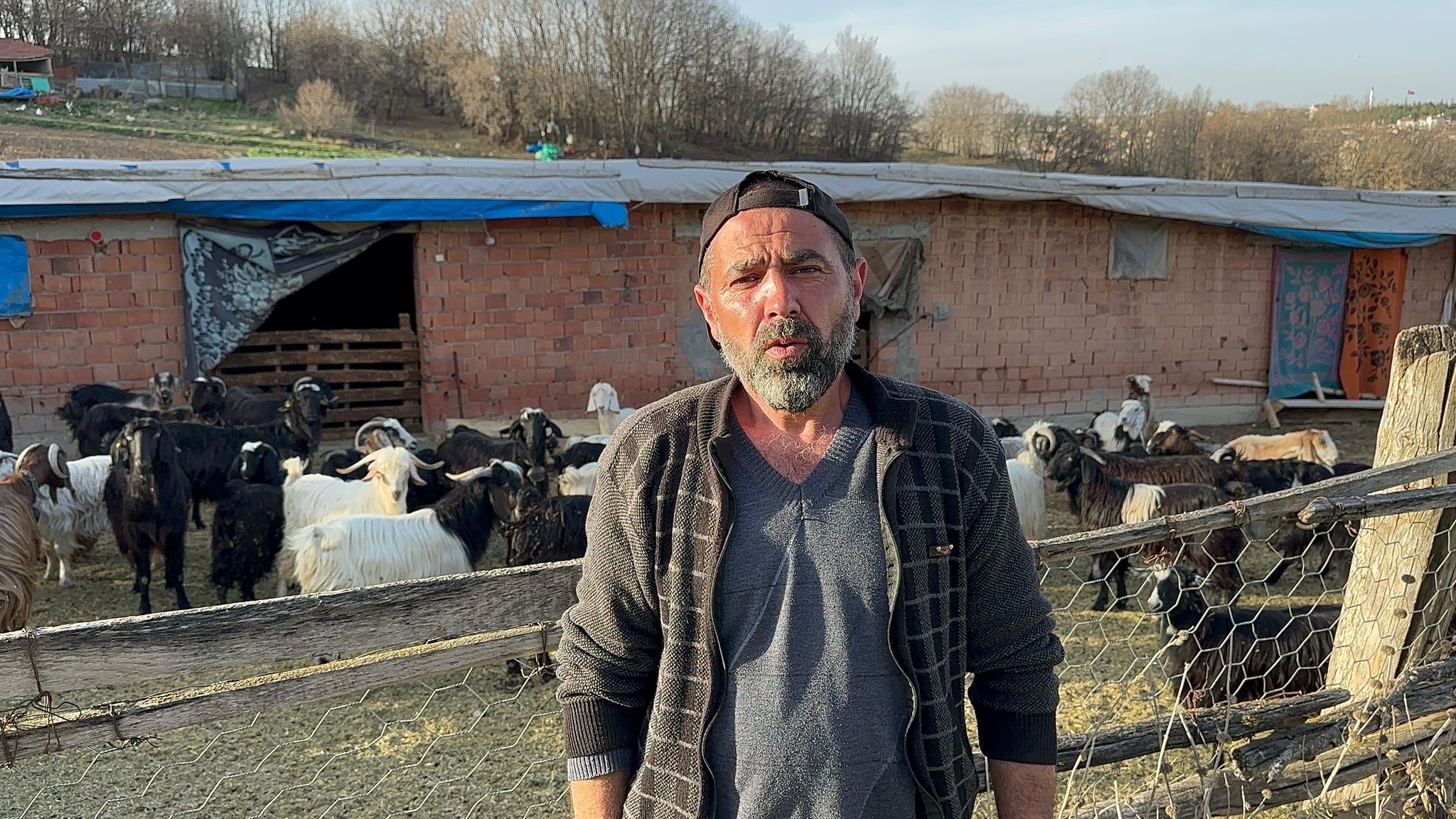 Çalınan Keçileri Jandarma Buldu