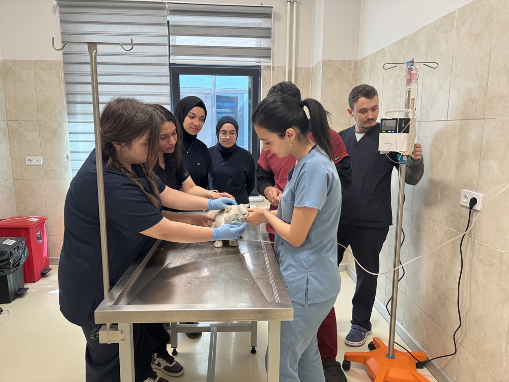 AFYONKARAHİSAR'DA HAYVAN HASTANESİ KESİNTİSİZ HİZMET SUNUYOR