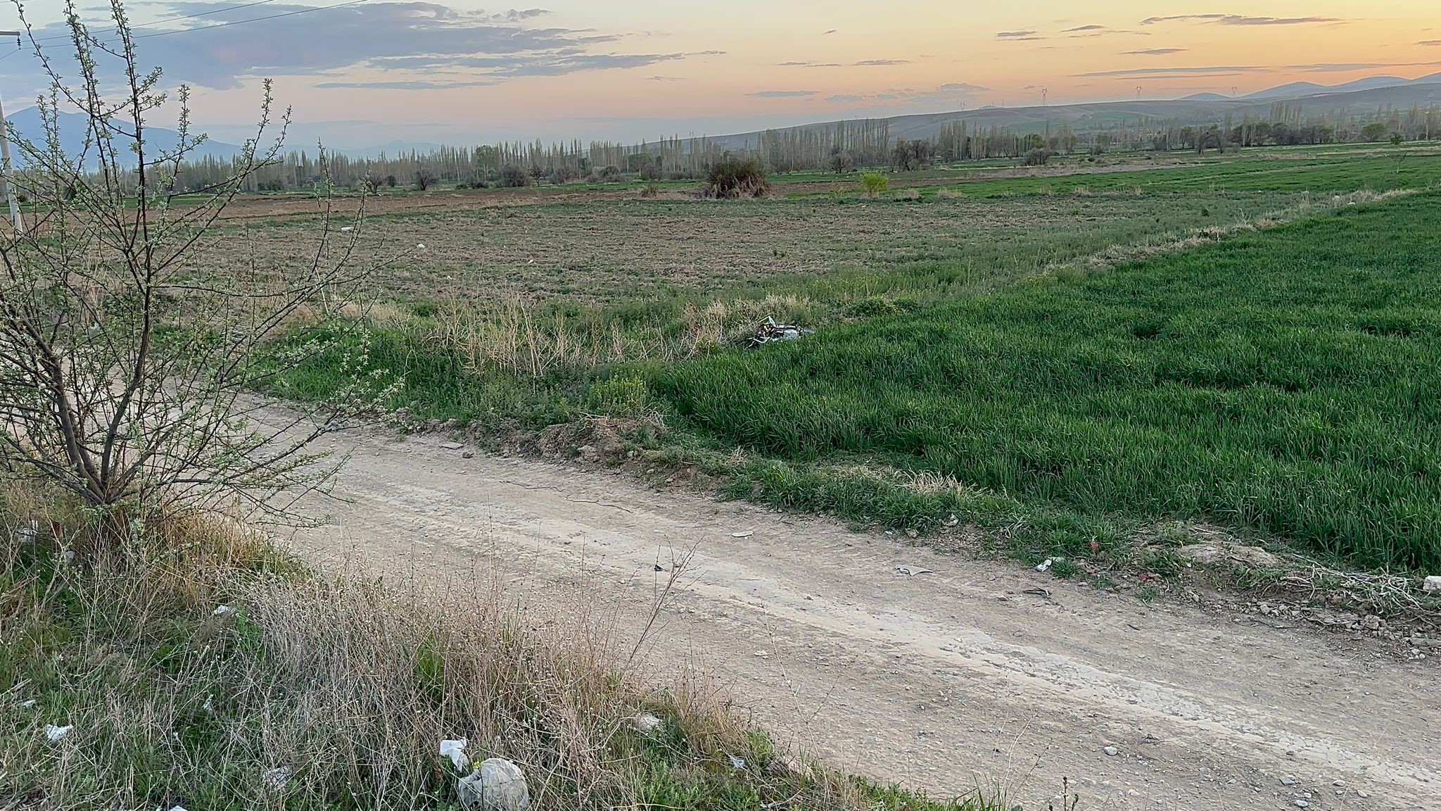TARLAYA UÇAN MOTORCU AĞIR YARALANDI