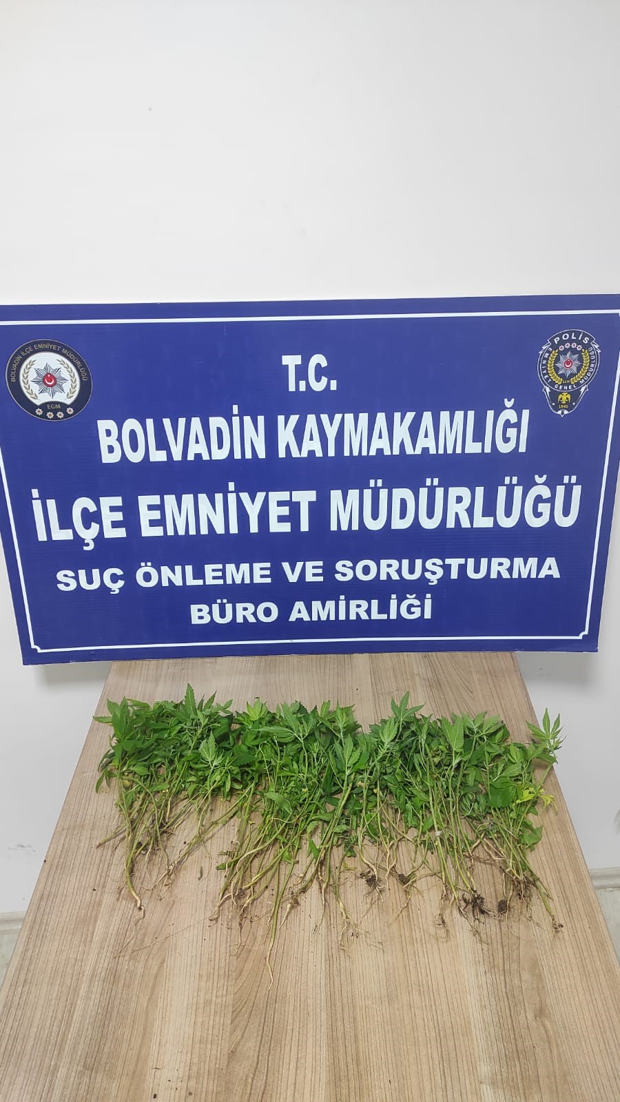 BOLVADİNDE ZEHİR TACİRLERİNE OPERASYON !