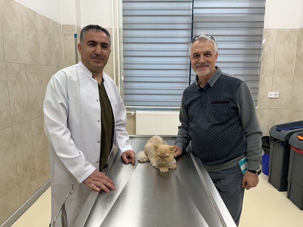 14 YAŞINDAKİ GARFİ, BAŞARILI BİR OPERASYONLA HAYATA DÖNDÜ