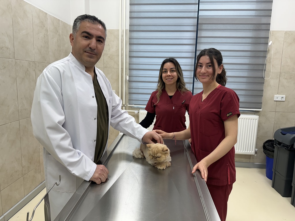 14 YAŞINDAKİ GARFİ, BAŞARILI BİR OPERASYONLA HAYATA DÖNDÜ