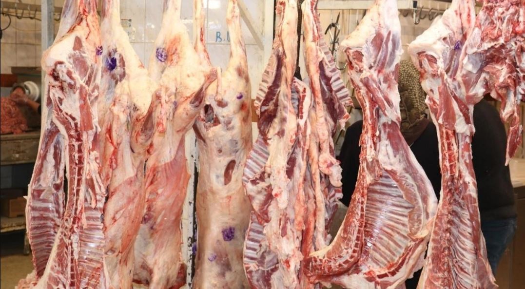 KARKAS ET FİYATLARI ARTIŞ GÖSTERİYOR