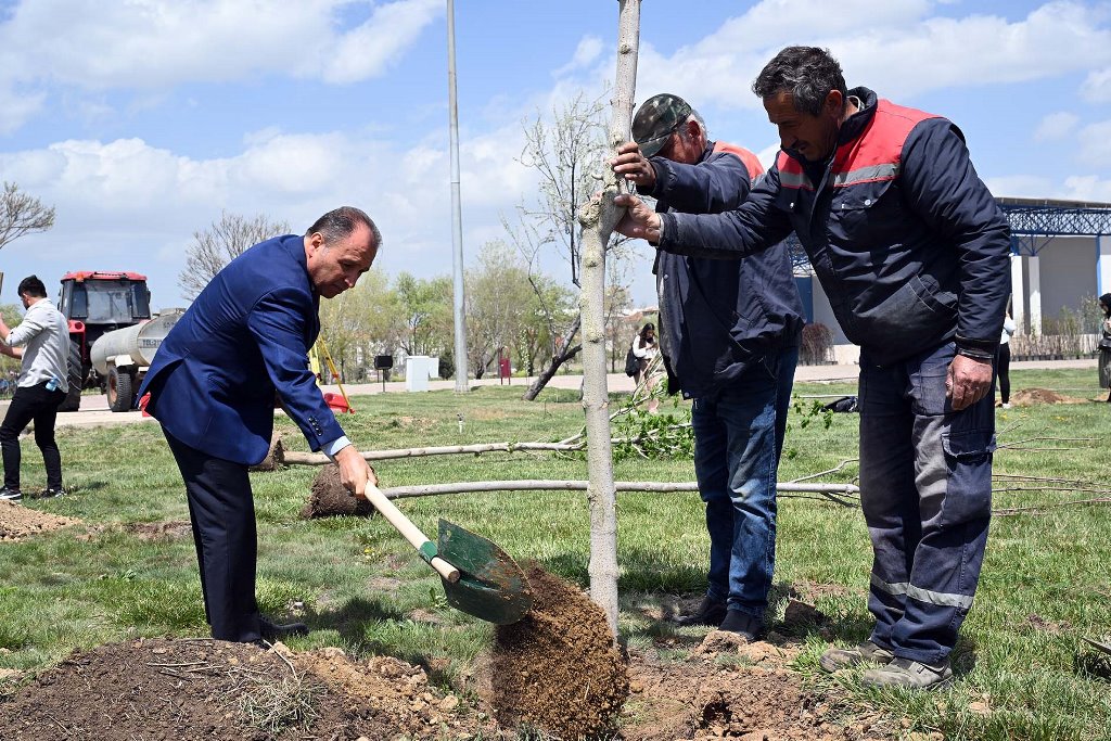 AKÜ'DE 550 FİDAN TOPRAKLA BULUŞTU