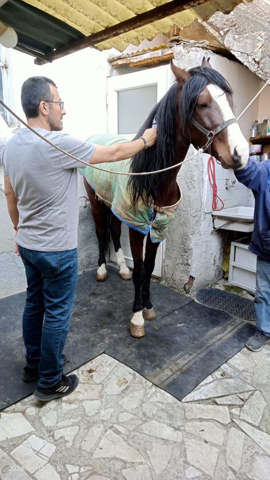 Afyonkarahisar’da Mikroçip Uygulaması  Hayata Geçirildi