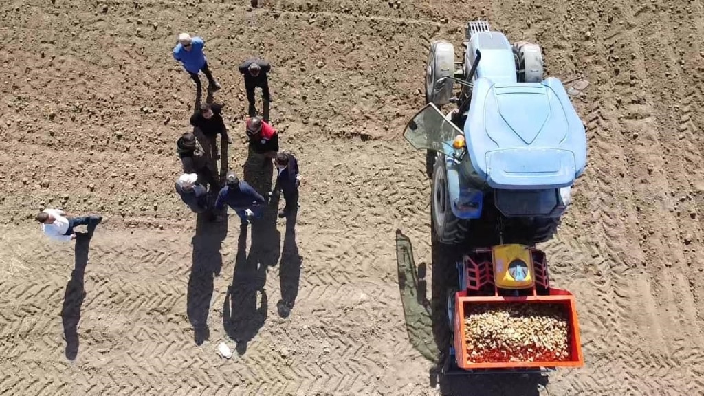MÜDÜR PARLAK PATATES EKİMİNE KATILDI