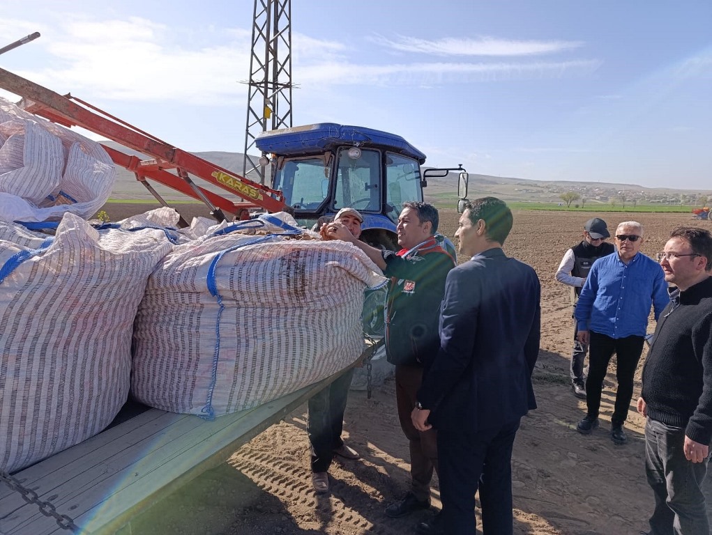 MÜDÜR PARLAK PATATES EKİMİNE KATILDI