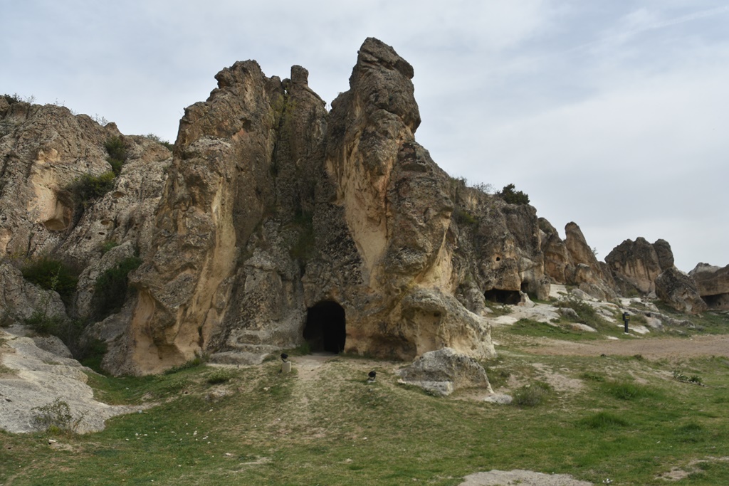 TARİHİ FRİGYA VADİSİ "AMARANT" BİTKİSİ İLE RENKLENECEK