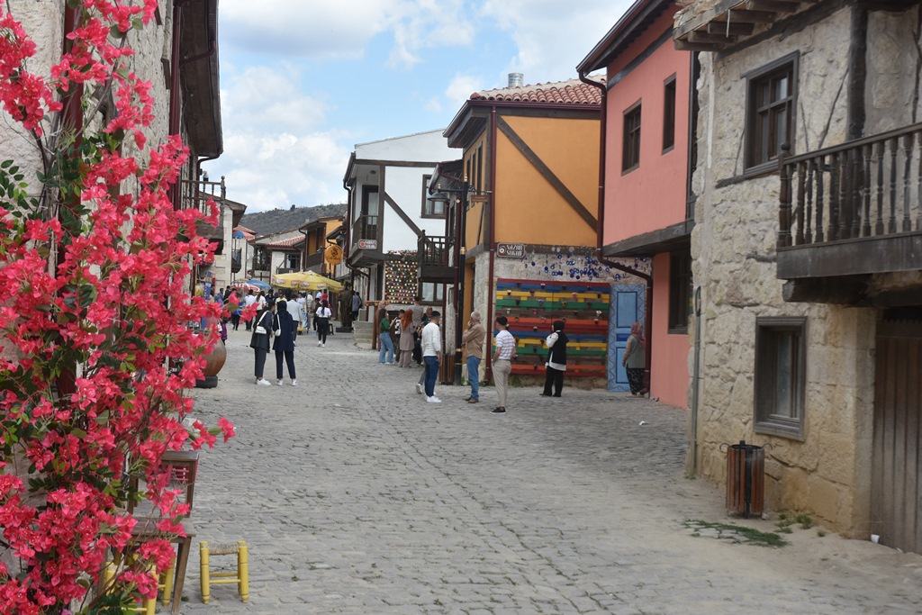 TARİHİ FRİGYA VADİSİ "AMARANT" BİTKİSİ İLE RENKLENECEK
