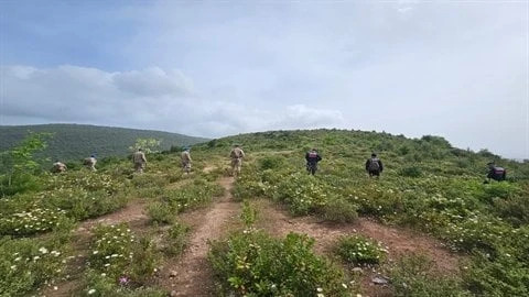 Korhan Berzeg'in Kafatası ile Ayak Kemikleri Aranıyor: Kadavra Arama Köpeği 'Duman', 1 Kemik Parçası Daha Buldu