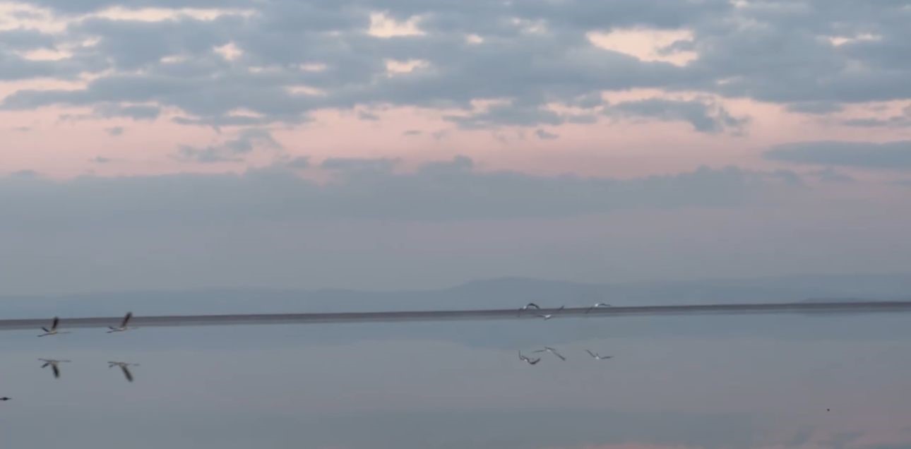 Eber Gölü’nün Renkli Misafirleri: Flamingolar Bu Yıl da Eber Gölü’nde Geçici Olarak Konakladı