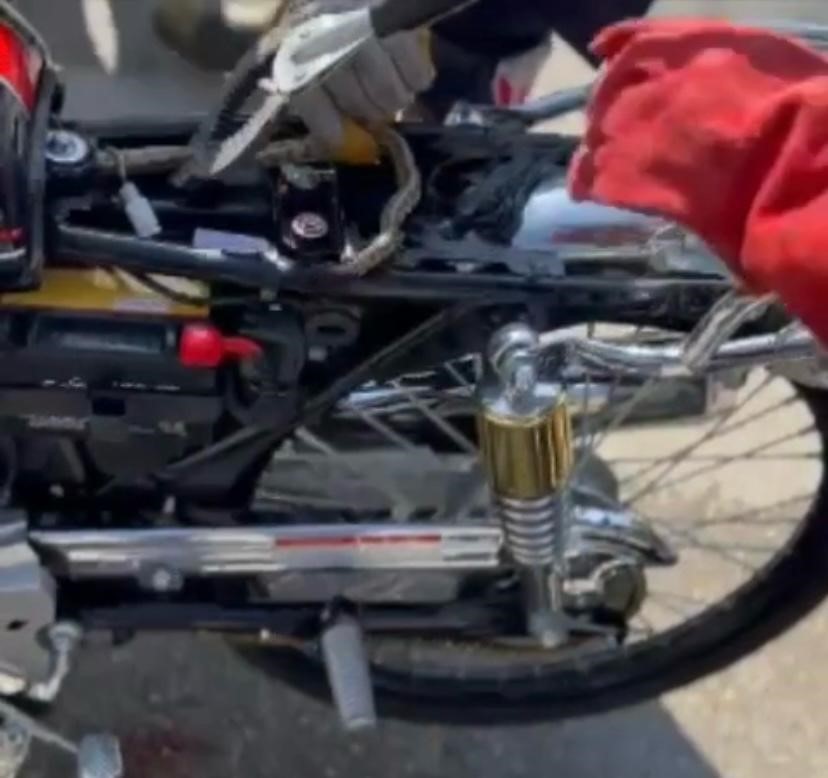 Motosiklete Giren Yılan Korkuttu!  Ekipler Tarafından Çıkarıldı
