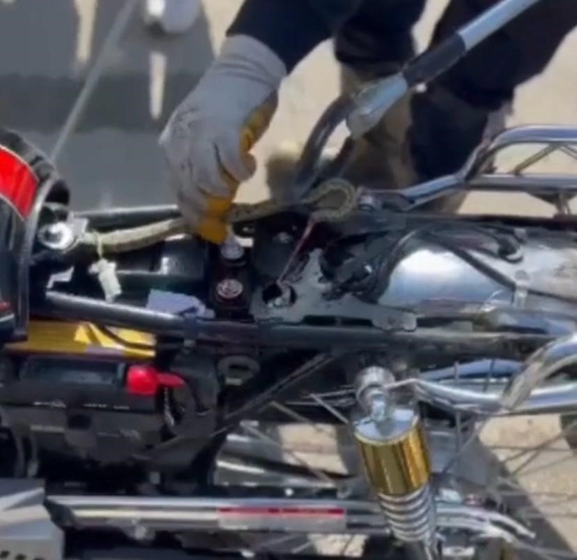 Motosiklete Giren Yılan Korkuttu!  Ekipler Tarafından Çıkarıldı