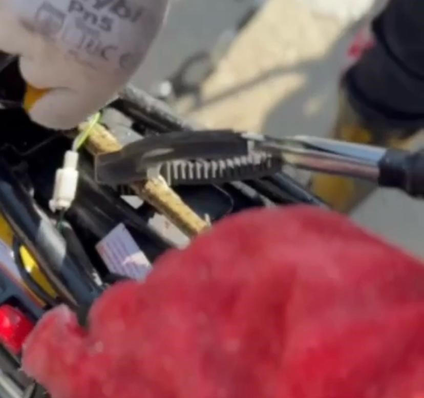 Motosiklete Giren Yılan Korkuttu!  Ekipler Tarafından Çıkarıldı