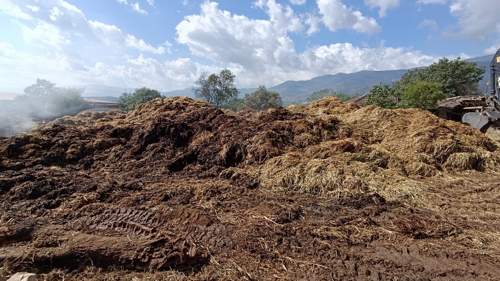 70 Ton Saman Kül Oldu: Yangınla ilgili soruşturma devam ediyor
