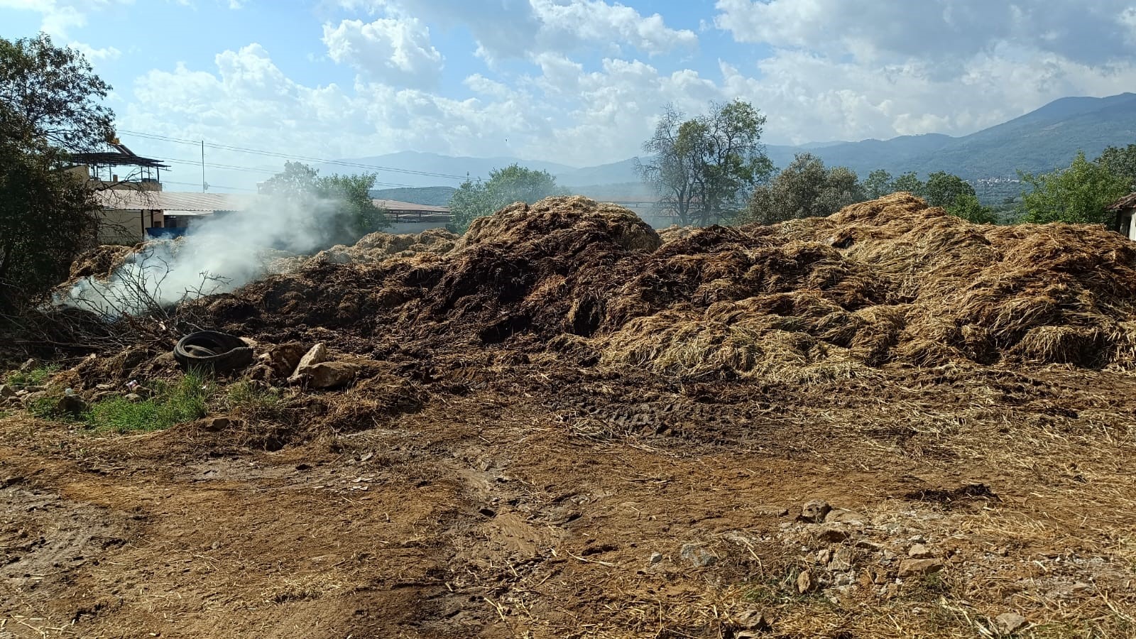 70 Ton Saman Kül Oldu: Yangınla ilgili soruşturma devam ediyor
