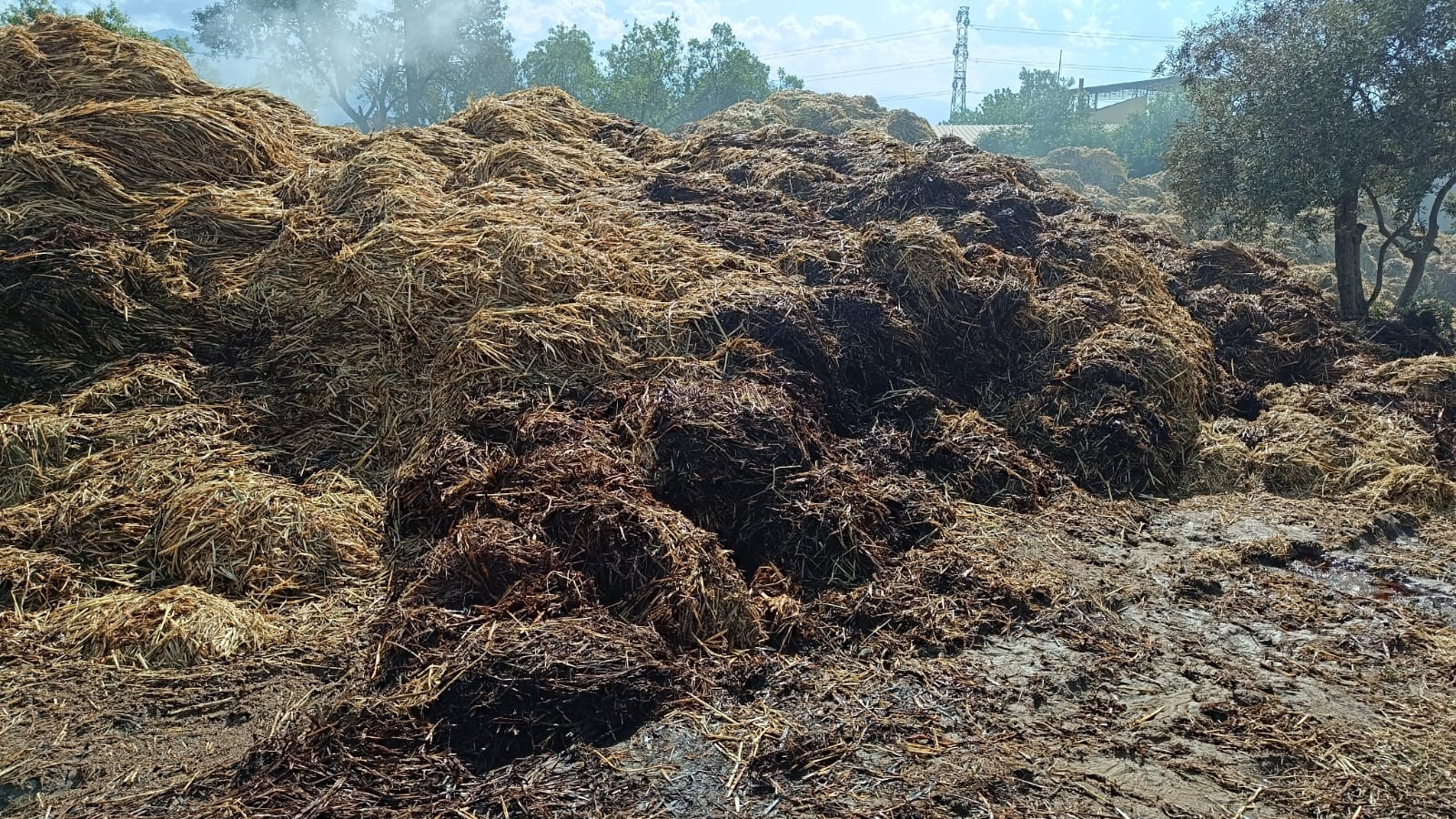 70 Ton Saman Kül Oldu: Yangınla ilgili soruşturma devam ediyor