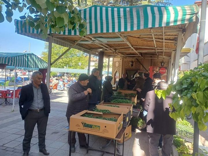 Bolvadin Ziraat Odası Önünde Hibrit Sebze Fideleri Üyelere Dağıtılmaya Başlandı
