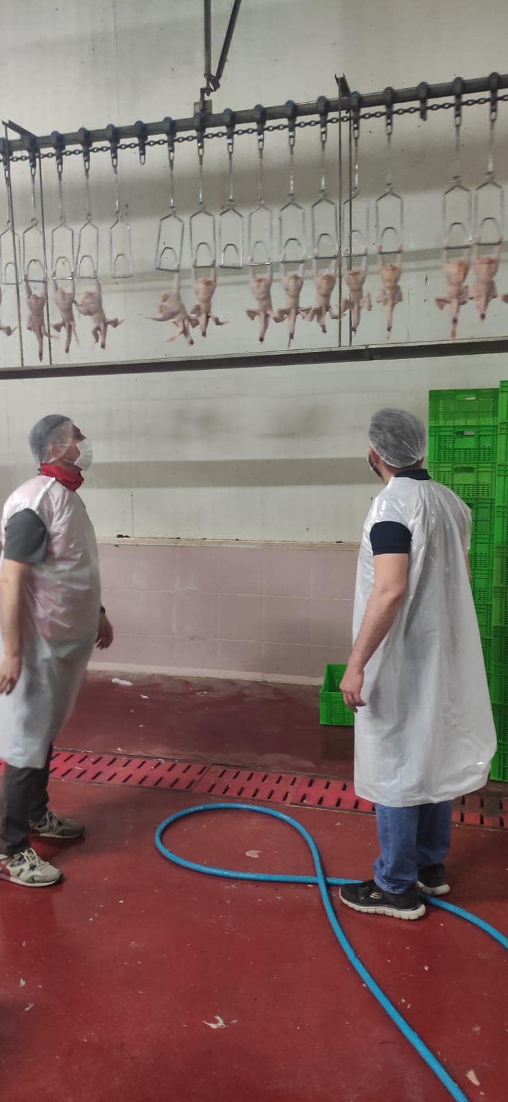 İl Tarım Ve Orman Müdürlüğü Et İşletmelerini Sıkı Denetimden Geçiriyor