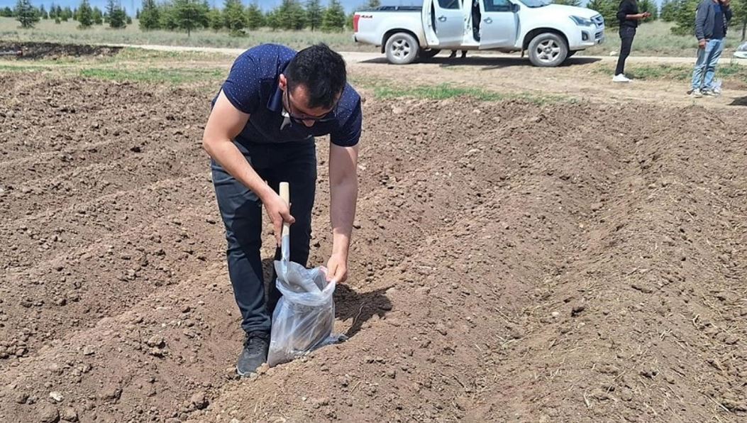 Tarım ve Orman Müdürlüğü ekipleri çalışmalarını sürdürüyor