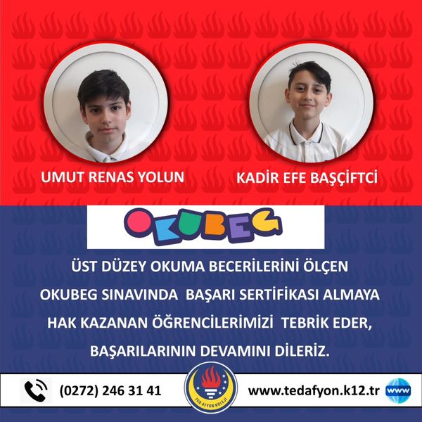 TED AFYON KOLEJİNDEN ÜST DÜZEY BAŞARI