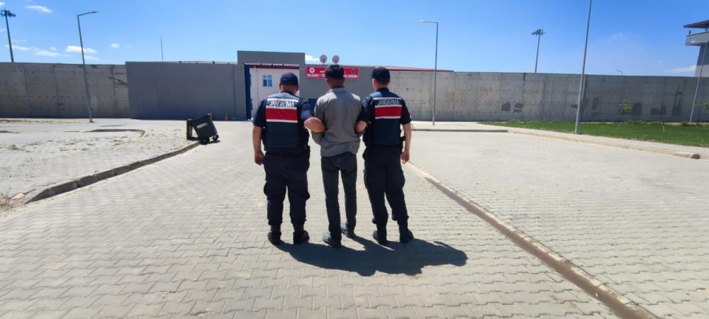 Hırsızlık Suçundan Aranan Şahsı Jandarma Yakaladı