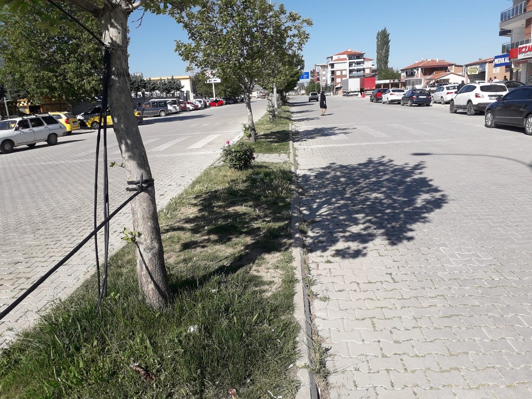 ENGELLİ VATANDAŞLAR  TÜRKELİNE ULAŞARAK TALEBLERİNİ İLETTİ