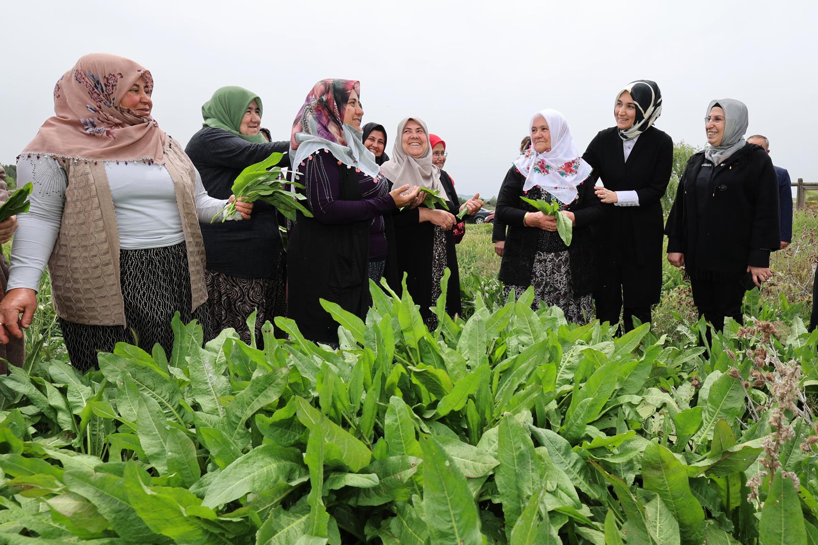 'Devlet Ana' Kolları Sıvadı! Kadınlarla Coğrafi İşaret Tescilli "İlibada Dolması" Sardı