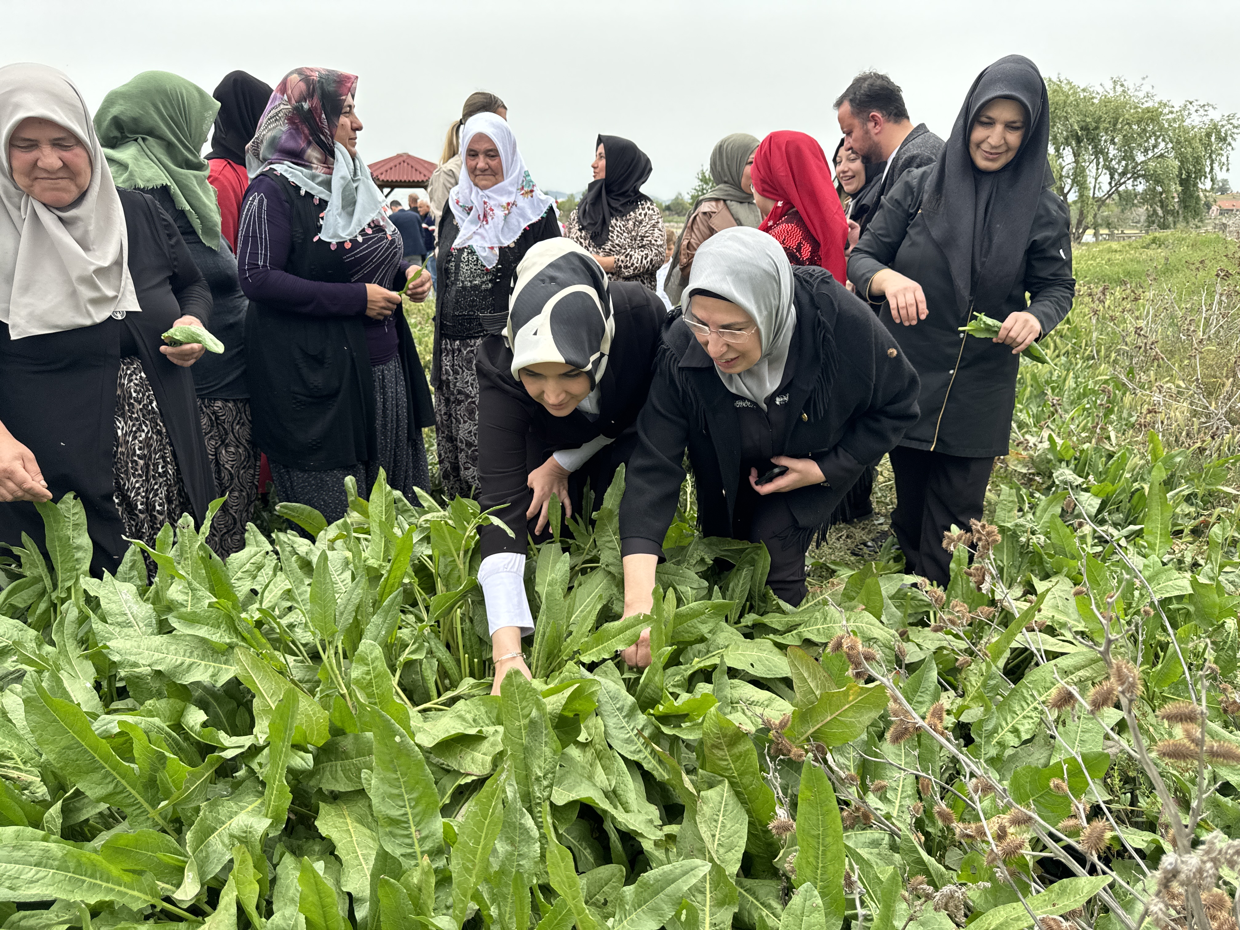 'Devlet Ana' Kolları Sıvadı! Kadınlarla Coğrafi İşaret Tescilli "İlibada Dolması" Sardı