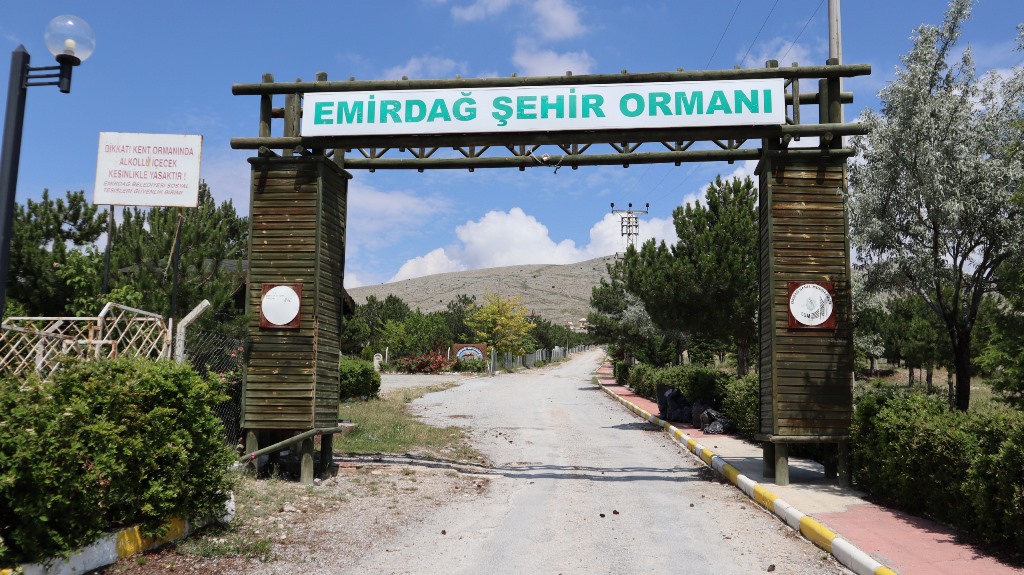 EMİRDAĞ KENT ORMANI İHALEYE ÇIKIYOR!