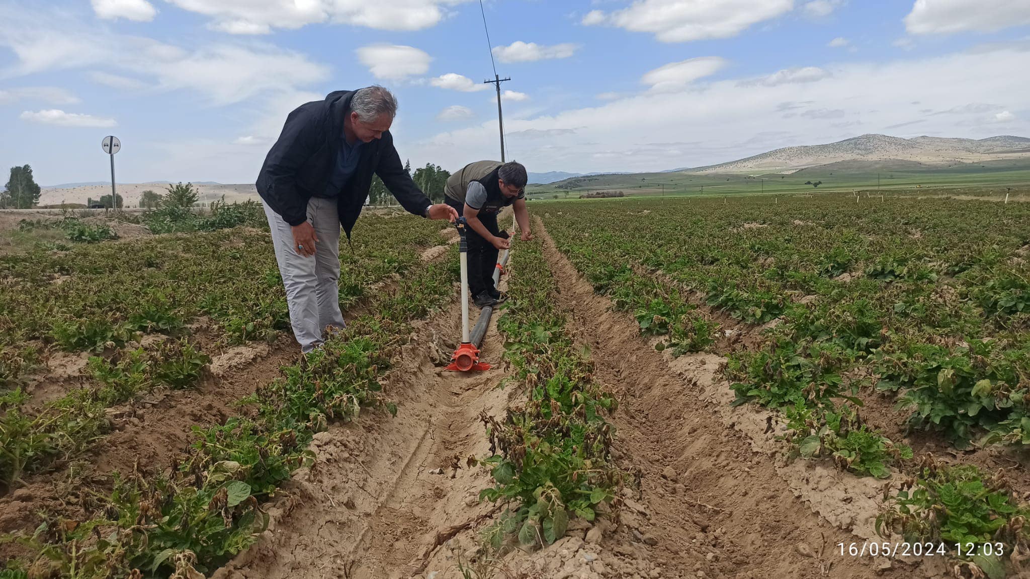 Tarım Müdürlüğü Ekipleri Sahada İncelemelere Devam Ediyor