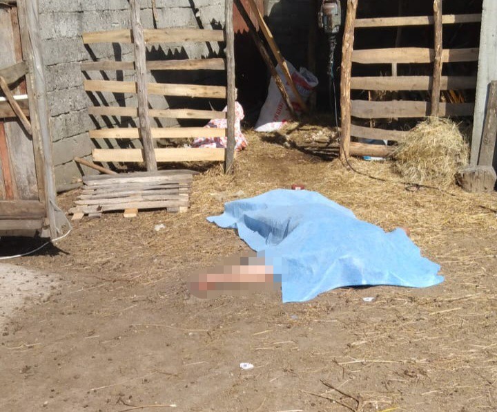 Koyun Kırkarken Canından Oldu!